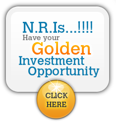 N.R.Is Golden Opportunity